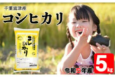 令和5年 千葉富津産「コシヒカリ」5kg精米