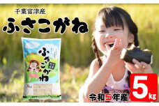 令和5年 千葉富津産「ふさこがね」5kg精米