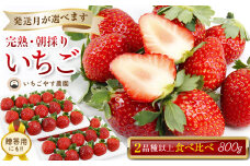 完熟・朝採りいちご400g×2箱（2品種以上／冷蔵） いちごやす農園【１月発送分】