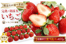 完熟・朝採りいちご400g×1箱（2品種以上／冷蔵） いちごやす農園【２月発送分】