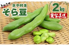 本田農園 そら豆２kg（さや付き）【3月下旬～4月下旬頃に発送】