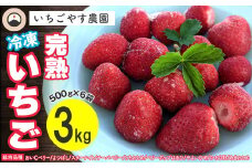 冷凍 完熟いちご３kg（500g×6袋）／いちごやす農園