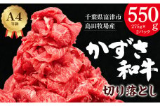【到着日指定可能】富津市産「かずさ和牛」切り落とし 550g（275g×2パック）【KKO-2】