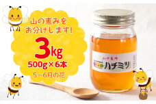 【自然のまま】富津産ハチミツ（5～6月の花）500g×6本 計3kg