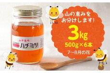 【自然のまま】富津産ハチミツ（7～8月の花）500g×6本 計3kg