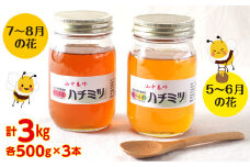 【自然のまま】富津産ハチミツ食べ比べ500g×6本 計3kg