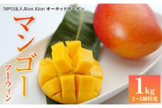 Alon Alon マンゴー（アーウィン）栽培期間中農薬不使用 １kg【7月頃発送】