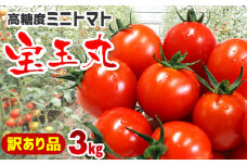 【訳あり】高糖度ミニトマト「宝玉丸」3kg【期間・数量限定】