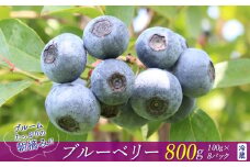 ブルームたっぷり！朝摘みブルーベリー800g（冷蔵）【8月～9月上旬発送分】
