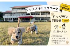 マメノキドッグパーク　ドッグラン 回数券 11回分（犬1匹＋人1人）