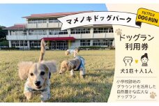 マメノキドッグパーク　ドッグラン 利用券（犬1匹＆人1人）