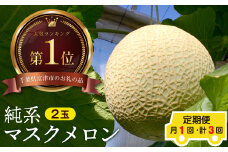 【定期便３ヶ月】純系マスクメロン２玉【最高級】：９～１１月発送分
