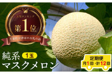 【定期便12ヶ月】純系マスクメロン１玉【最高級】：2025年発送分