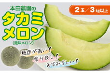 本田農園のタカミメロン2玉（3kg以上）【6月下旬～7月末頃発送】