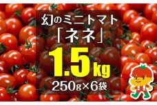 幻のミニトマト「ネネ」1.5kg（250g×6袋）