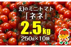 幻のミニトマト「ネネ」2.5kg（250g×10袋）