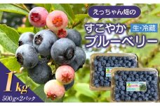 えっちゃん畑のすこやかブルーベリー 1kg（500g×2パック／生・冷蔵）