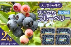 えっちゃん畑のすこやかブルーベリー 2kg（500g×4パック／生・冷蔵）