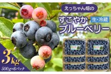 えっちゃん畑のすこやかブルーベリー 3kg（500g×6パック／生・冷蔵）