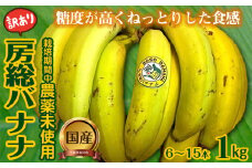 【訳あり】房総バナナ 1kg（6～15本）【農薬未使用】