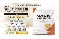 VALX ホエイプロテイン 1kg【キャラメルマキアート風味】