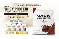 VALX ホエイプロテイン 1kg【チョコレート風味】