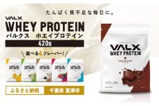 VALX ホエイプロテイン 420g【チョコレート風味】