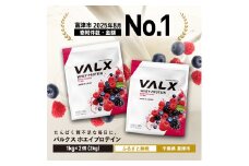 VALX ホエイプロテイン 2kg【ベリー風味】