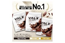 VALX ホエイプロテイン 3kg【チョコレート風味】