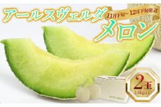 アールスヴェルダ メロン 2玉（2.6kg以上）【11月下旬～12月下旬発送】　本田農園