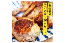 餃子専門店が作った手羽先餃子20本入り