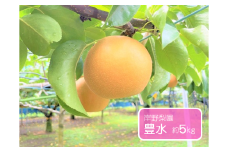 豊水 約5kg / 岸野梨園 / 梨 なし 果物