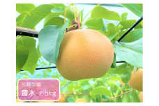 豊水 約5kg / 佐藤梨園 / 梨 なし 果物