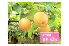 豊水 約3kg / 飯田梨園 / 梨 なし 大玉 朝獲り 果物