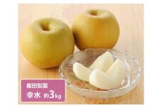 幸水 約3kg / 飯田梨園 / 梨 なし 朝獲り 果物