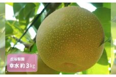 幸水 約3kg / 広谷梨園 / 梨 なし 果物