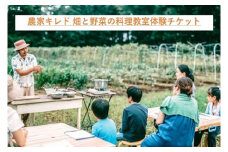 農家キレド 畑と野菜の料理教室体験チケット / キレド / 農業体験 体験 野菜 収穫 畑ツアー ツアー 自然 料理教室 料理 教室 1名様分 1人分 チケット