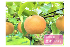 豊水 約5kg / 中島梨園 /梨 なし 果物