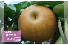あきづき 約3kg / 広谷梨園 / 梨 なし 果物