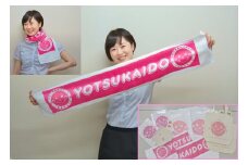 四街道の魅力詰め合わせペア堪能セット Tシャツ Lサイズ / Tシャツ マフラータオル ポーチ エコバッグ クリアファイル シール ロゴマーク