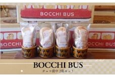 BOCCHI BUS 落花生 チョコ最中 2箱セット / 落花生 チョコ最中 千葉県 千葉半立種 和菓子  最中