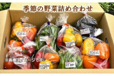おがわ農園　季節野菜の詰め合わせ ／ セット サラダ 千葉県 特産品