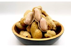 生落花生 おおまさり 約2kg 落花生 / 豆 から付き おつまみ