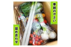 袖ケ浦の大地の恵み 季節のやさい詰め合わせ｜野菜 直送 [0038ch]