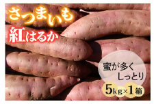 さつまいも (紅はるか) 5kg 奥野農園｜農家 直送 サツマイモ スイーツ 野菜 しっとり ホクホク 焼き芋 やきいも 料理 袖ケ浦 千葉 [0421ch]