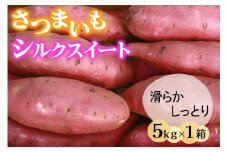 さつまいも (シルクスイート) 5kg 奥野農園｜農家 直送 サツマイモ スイーツ 野菜 しっとり ホクホク 焼き芋 やきいも 料理 袖ケ浦 千葉 [0422ch]