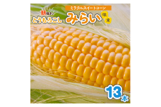朝採れとうもろこし みらい (味来) 13本入｜トウモロコシ スイートコーン 野菜 [0387ch]