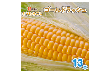 朝採れとうもろこし ゴールドラッシュ 13本入｜トウモロコシ スイートコーン 野菜 [0388ch]
