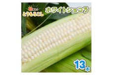 朝採れとうもろこし ホワイトショコラ 13本入｜トウモロコシ スイートコーン 野菜 [0389ch]