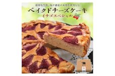 贅沢トッピングのベイクドチーズケーキ 奥野牧場 イチゴスペシャル ホール (大)｜米粉 グルテンフリー チーズ ケーキ スイーツ フルーツ ミルク 牧場 ギフト お祝い 袖ケ浦 [0231ch]